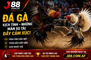 Hình ảnh j88 trên thiết bị di động