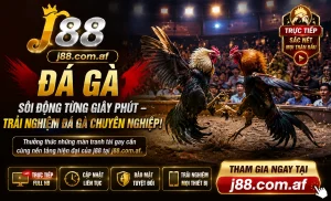 Khu đá gà j88 tối ưu cho điện thoại
